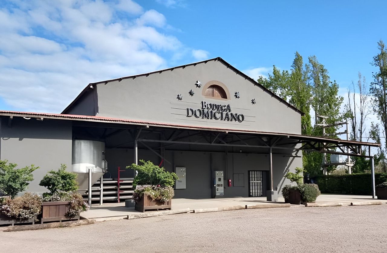 Tour de Bodegas y Olivícolas: Sabores y Tradiciones de Mendoza