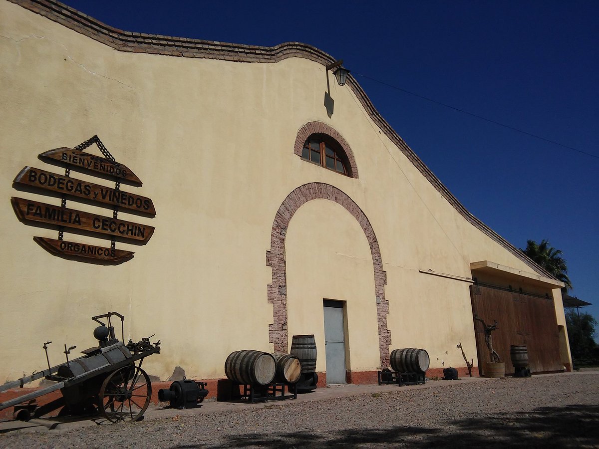 Experiencia entre Viñedos y Olivos 3