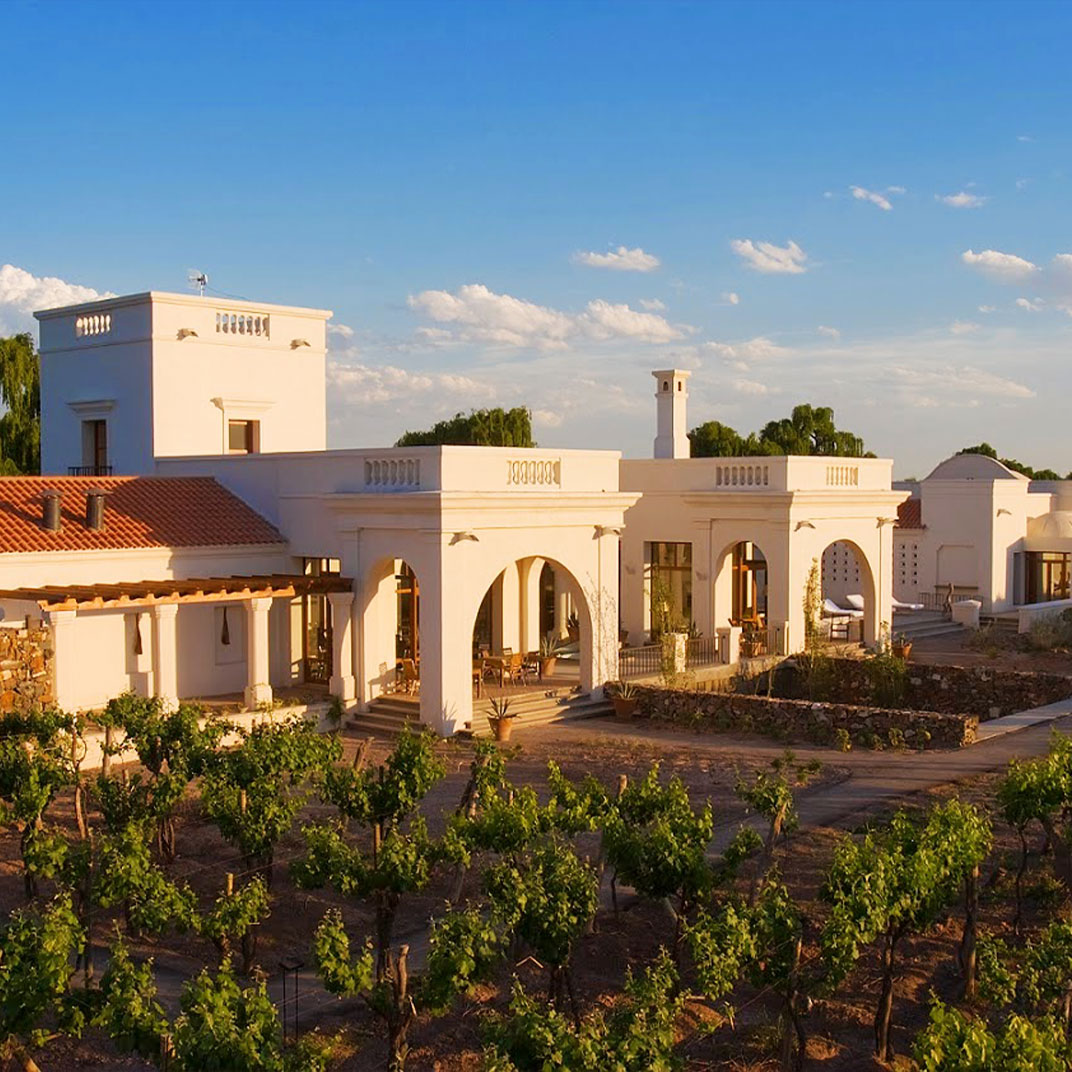 Cosecha de Sabores: El Enemigo y Finca Agostino